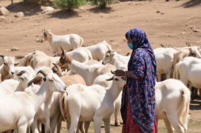 From Grazing Goats to Securing School Job: Chhattisgarh Woman's Inspiring Life Journey