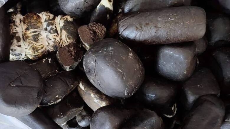 Mumbai Police Seize Vehicle with Charas Worth Over Rs 14 Cr; 2 Women Among 4 Held