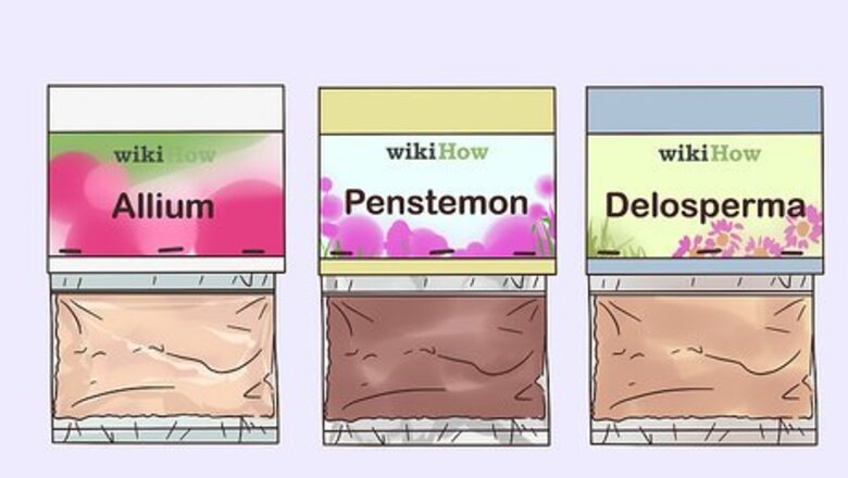 How to Grow Perennials From Seed