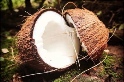 A Plethora of Health Benefits of Coconut Oil