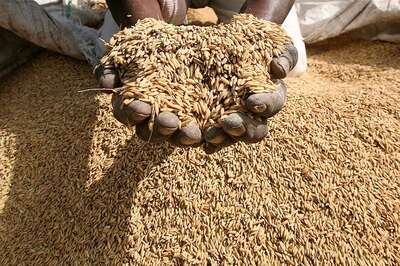 India Staring at Mass Malnutrition as Carbon Dioxide Levels Soar, Warns Study