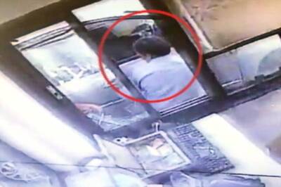 TDP MP's Son Goes on Rampage Over Rs 80 Toll Fee, Arrested