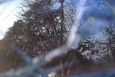 Trial EV Accident: Driver Says Was Forced to Speed; Video Recorded on Car’s Dashboard Camera | WATCH