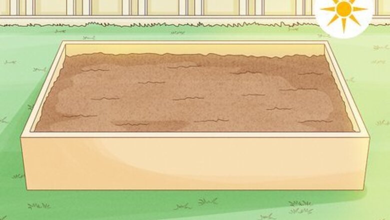 How to Grow Stock Flowers