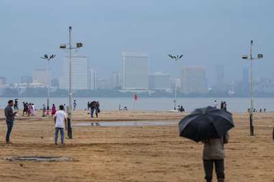 Mumbai: Advisory Issued for Citizens Amid Presence of Jellyfish, Stingrays on Juhu Beach