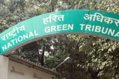 NGT Directs UP University to Stop Construction in Bird Sanctuary's Buffer Zone