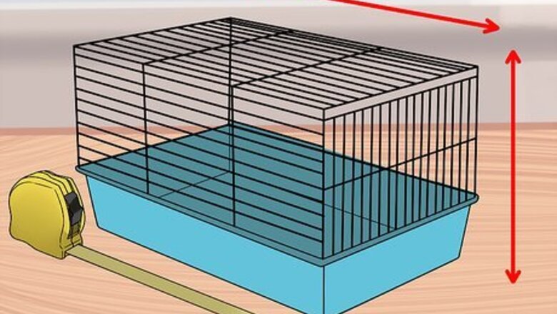 How to Introduce a New Guinea Pig to a Community Cage
