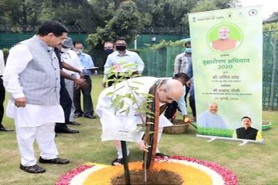 Must Learn From Indian Culture And Support Nature, Greenery Only Solution For Climate Change: Amit Shah