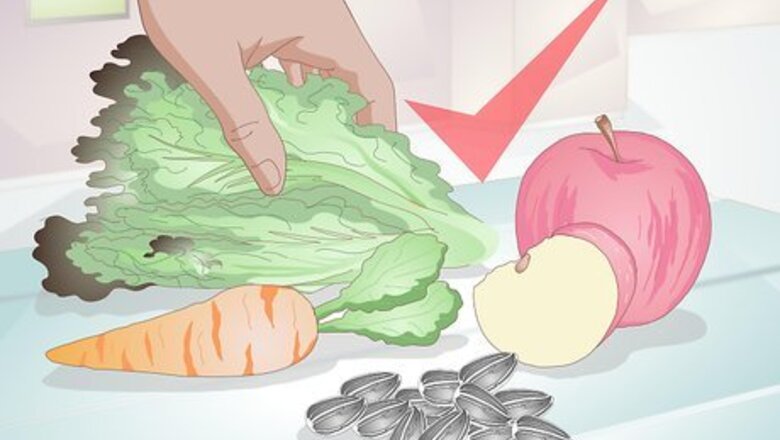How to Make Hamster Treats