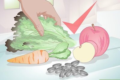 How to Make Hamster Treats