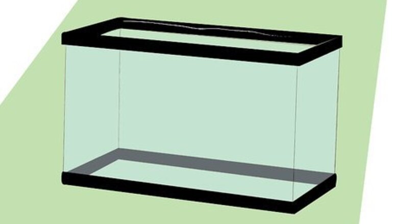 How to Set Up a 10 Gallon Tropical Aquarium
