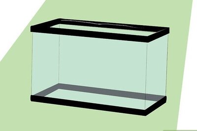 How to Set Up a 10 Gallon Tropical Aquarium