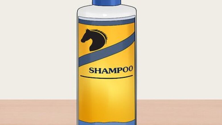 How to Groom a Miniature Horse for Show