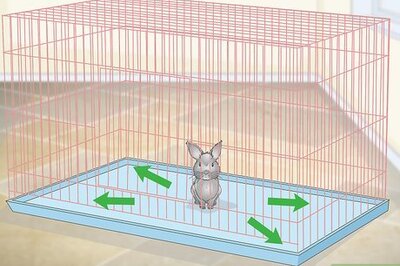 How to Prepare a Rabbit Cage