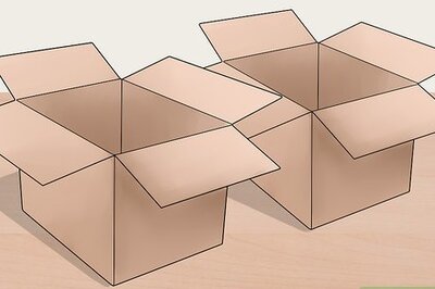 How to Keep a Cat Calm During a Move