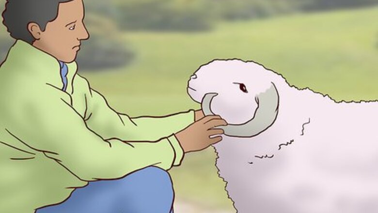 How to Work Ranch Jobs