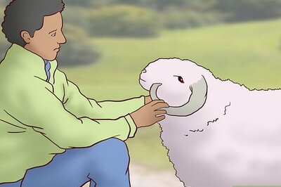 How to Work Ranch Jobs