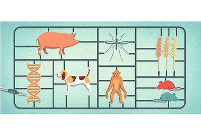 Gene-editing technique voted scientific breakthrough of the year 2015