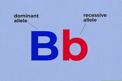 How to Use a Punnett Square to Do a Monohybrid Cross