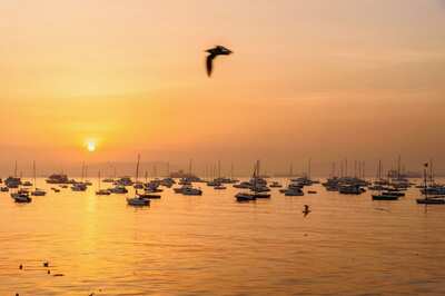 Mumbai's Coastal Community Finds Its Voice Through Art