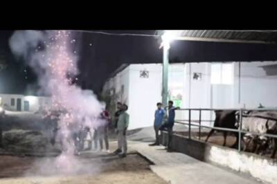 Gaurav Taneja Aka Flying Beast Faces Backlash For Bursting Crackers Near Cows