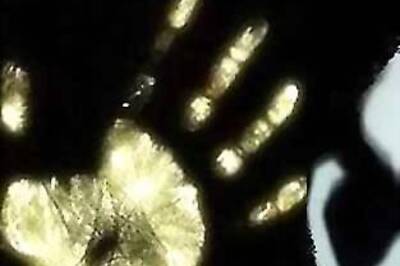 Three arrested in Pune over software engineer's murder