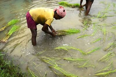 In a Balacing Act, Gujarat Budget Focuses on Farmers, Jobless Youth