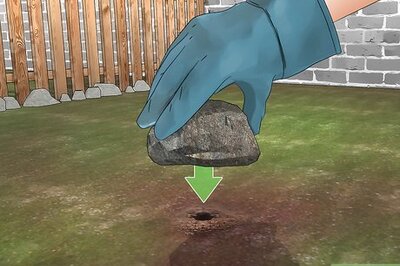 How to Get Rid of Bumble Bee Nests in the Ground