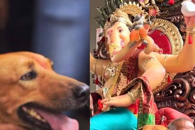 Dog Joins Ganesh Chaturthi Celebrations In Festive Attire, Internet Says ‘Made My Day’