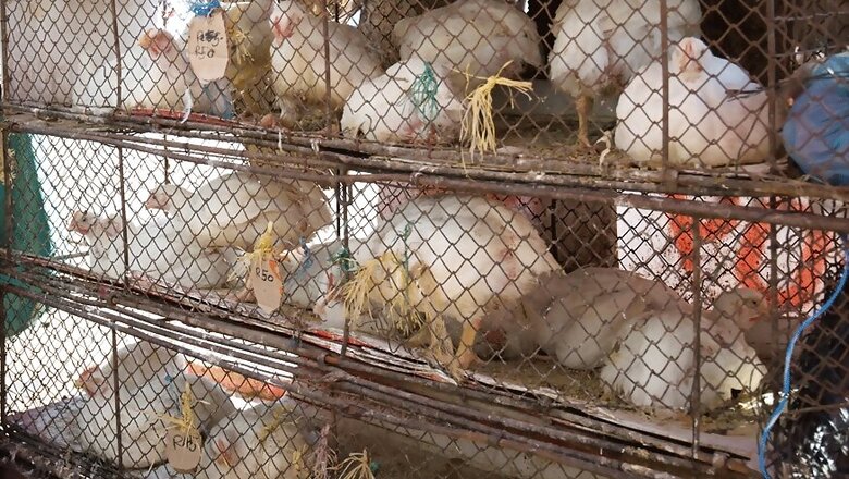 Kerala's 'Chicken Problem' Has Minister Threatening Stringent Action, Special Task Force