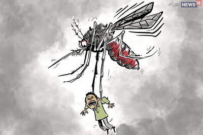 Prayagraj Records Around 170 Dengue Cases in October