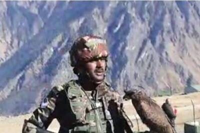 Indian Army Trains Kite to Hunt Enemy Drones as UAVs From Pakistan Border Double in 2022 | WATCH