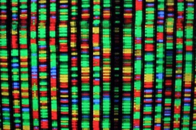 Can human genes be patented? US Supreme Court to decide