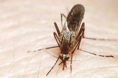 Encephalitis Toll Climbs to 53 in Odisha