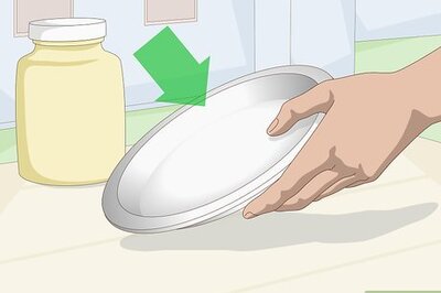How to Get a Urine Sample from a Female Dog