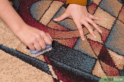 How to Spot Moth Damage on a Wool Area Rug