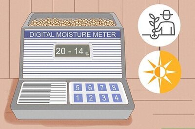 How to Harvest Wheat