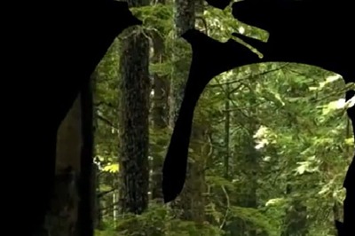 Ola Electric to Launch 2 Electric Motorcycles in 2024, Confirms CEO Bhavish Aggarwal