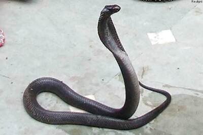 West Bengal calls CPI-M members cobras