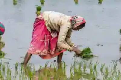 Telangana Govt Sets April 2 Deadline for Centre to Procure Paddy, Slams BJP for 'Supporting Business Honchos'