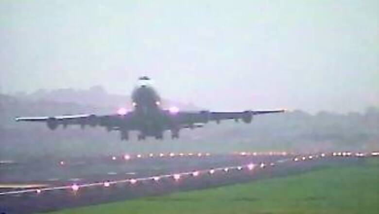 Kerala: Jackal comes calling at Kochi airport