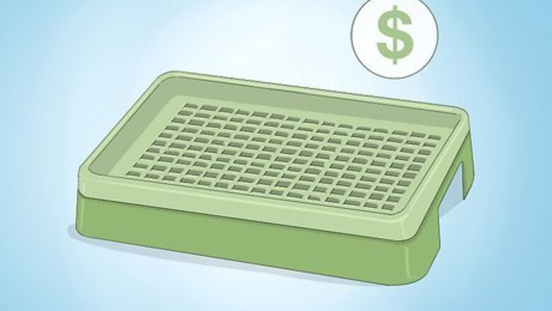How to Teach a Rabbit to Use a Litter Box