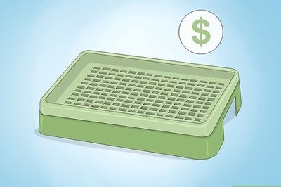 How to Teach a Rabbit to Use a Litter Box