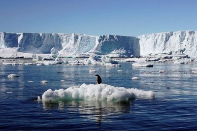 Antarctic Base Records Hottest Temperature Ever for the Continent