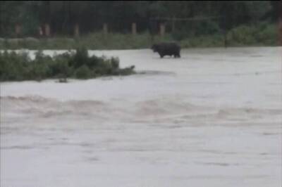 Assam flood situation worsens, 12 people dead, over 6.5 lakh affected