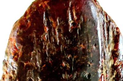 This Elderly Woman’s Doorstop Was Valued At Over Rs 9 Crore And She Had No Idea