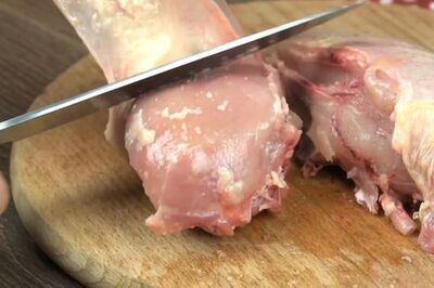 How to Cook and Feed Chicken and Rice to a Dog