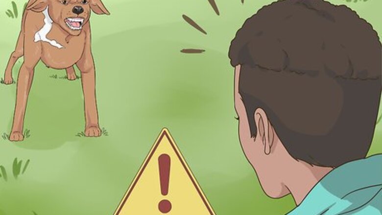 How to Handle an Attack Dog