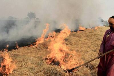 Punjab Vows to Halve Farm Fires in 2023 Compared to Last Year, Submits Action Plan Before Paddy Harvest Season