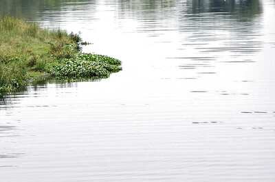 Delhi Govt to Develop Riverfront Along Yamuna River